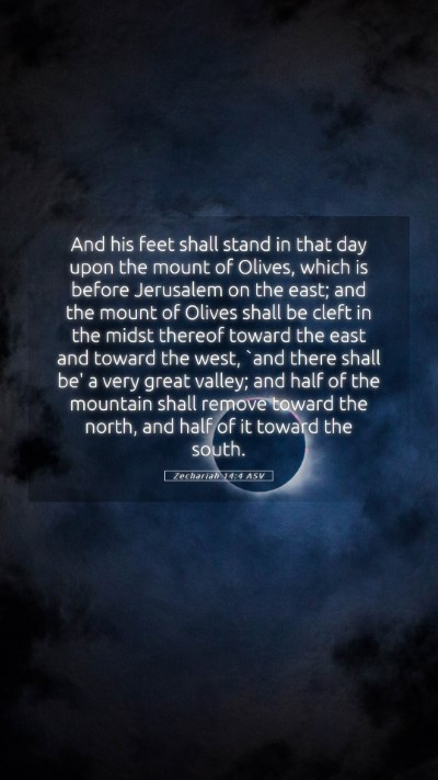 Picture 05 - Zechariah 14:4 ASV Mobile Phone Wallpaper - And his feet shall stand in that day upon the - Mobile Bible Verse Wallpaper