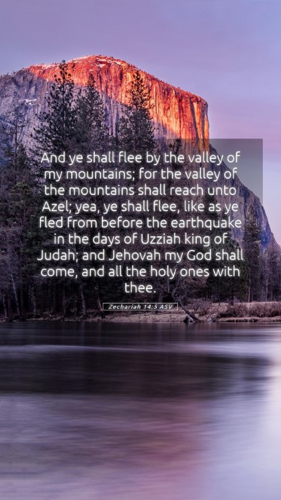 Picture 05 - Zechariah 14:5 ASV Mobile Phone Wallpaper - And ye shall flee by the valley of my mountains; - Mobile Bible Verse Wallpaper