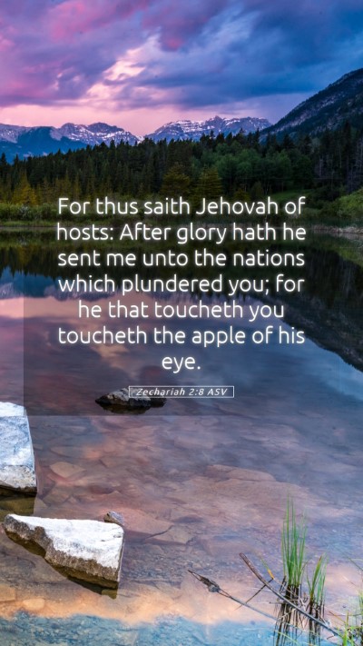 Picture 05 - Zechariah 2:8 ASV Mobile Phone Wallpaper - For thus saith Jehovah of hosts: After glory hath - Mobile Bible Verse Wallpaper