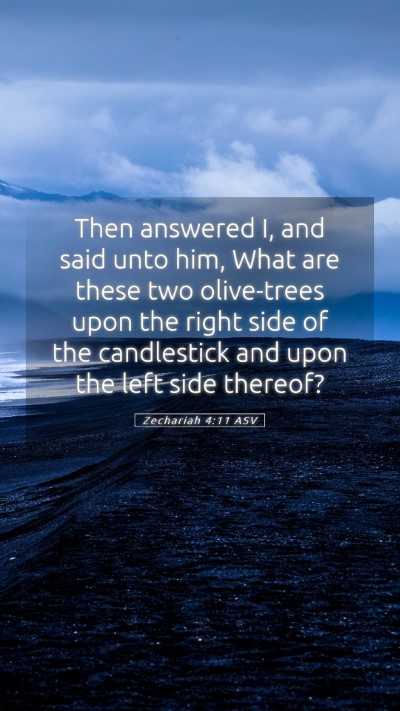 Picture 05 - Zechariah 4:11 ASV Mobile Phone Wallpaper - Then answered I, and said unto him, What are - Mobile Bible Verse Wallpaper