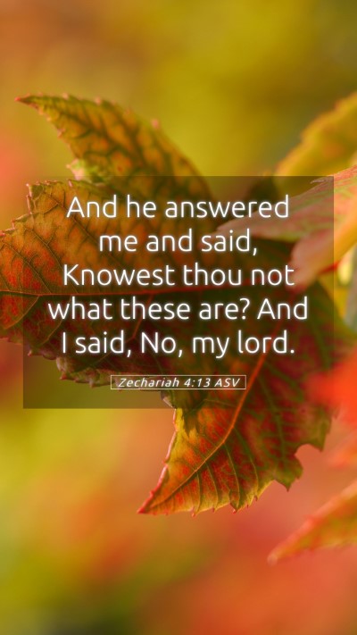 Picture 05 - Zechariah 4:13 ASV Mobile Phone Wallpaper - And he answered me and said, Knowest thou not - Mobile Bible Verse Wallpaper