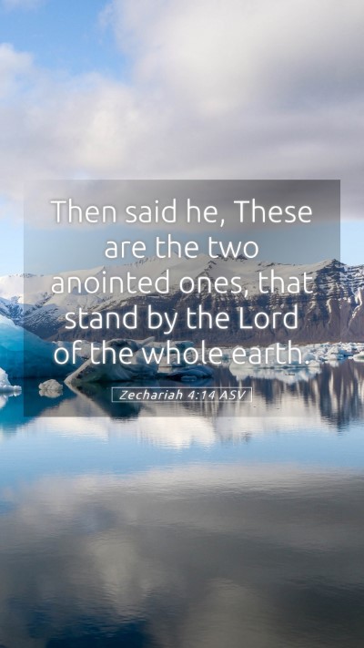 Picture 05 - Zechariah 4:14 ASV Mobile Phone Wallpaper - Then said he, These are the two anointed ones, - Mobile Bible Verse Wallpaper