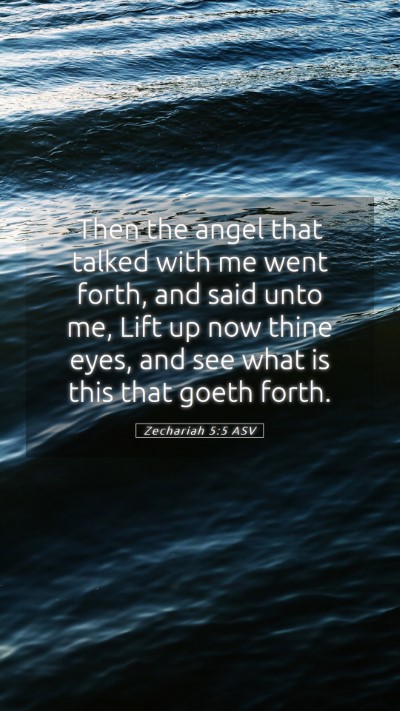 Picture 05 - Zechariah 5:5 ASV Mobile Phone Wallpaper - Then the angel that talked with me went forth, - Mobile Bible Verse Wallpaper