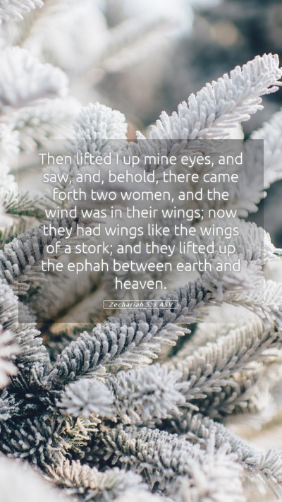 Picture 05 - Zechariah 5:9 ASV Mobile Phone Wallpaper - Then lifted I up mine eyes, and saw, and, behold, - Mobile Bible Verse Wallpaper