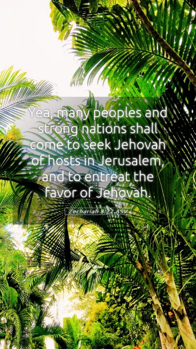 Picture 05 - Zechariah 8:22 ASV Mobile Phone Wallpaper - Yea, many peoples and strong nations shall come - Mobile Bible Verse Wallpaper
