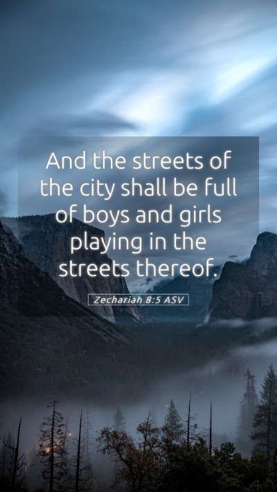 Picture 05 - Zechariah 8:5 ASV Mobile Phone Wallpaper - And the streets of the city shall be full of boys - Mobile Bible Verse Wallpaper