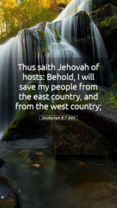 Picture 05 - Zechariah 8:7 ASV Mobile Phone Wallpaper - Thus saith Jehovah of hosts: Behold, I will save - Mobile Bible Verse Wallpaper