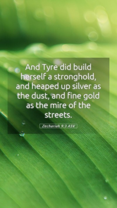 Picture 05 - Zechariah 9:3 ASV Mobile Phone Wallpaper - And Tyre did build herself a stronghold, and - Mobile Bible Verse Wallpaper