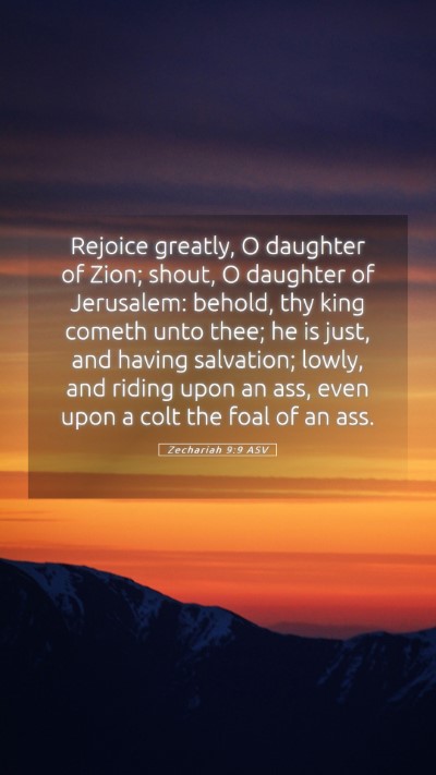 Picture 05 - Zechariah 9:9 ASV Mobile Phone Wallpaper - Rejoice greatly, O daughter of Zion; shout, O - Mobile Bible Verse Wallpaper