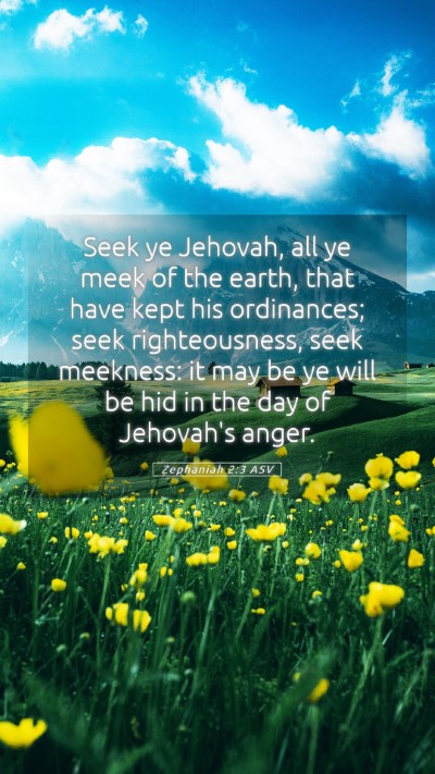 Picture 05 - Zephaniah 2:3 ASV Mobile Phone Wallpaper - Seek ye Jehovah, all ye meek of the earth, that - Mobile Bible Verse Wallpaper