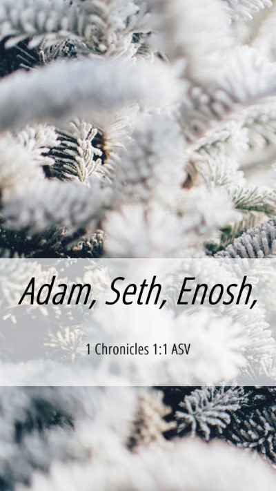 Picture 06 - 1 Chronicles 1:1 ASV Mobile Phone Wallpaper - Adam, Seth, - Mobile Bible Verse Wallpaper
