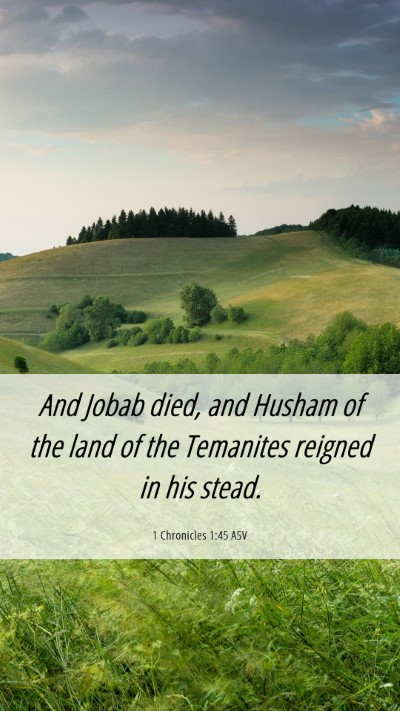 Picture 06 - 1 Chronicles 1:45 ASV Mobile Phone Wallpaper - And Jobab died, and Husham of the land of the - Mobile Bible Verse Wallpaper