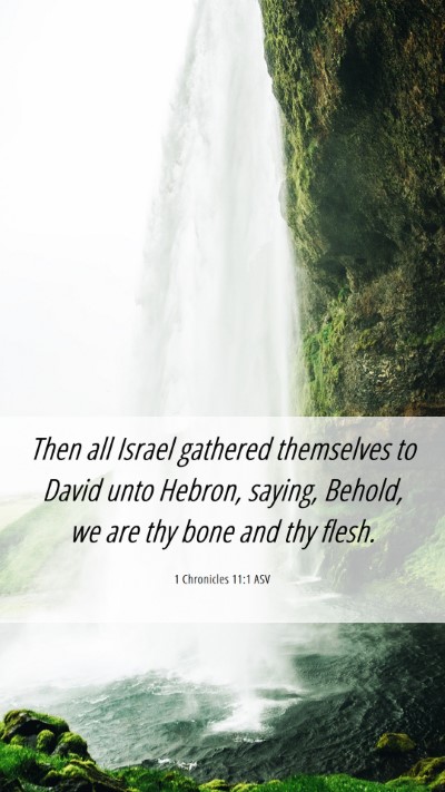 Picture 06 - 1 Chronicles 11:1 ASV Mobile Phone Wallpaper - Then all Israel gathered themselves to David unto - Mobile Bible Verse Wallpaper