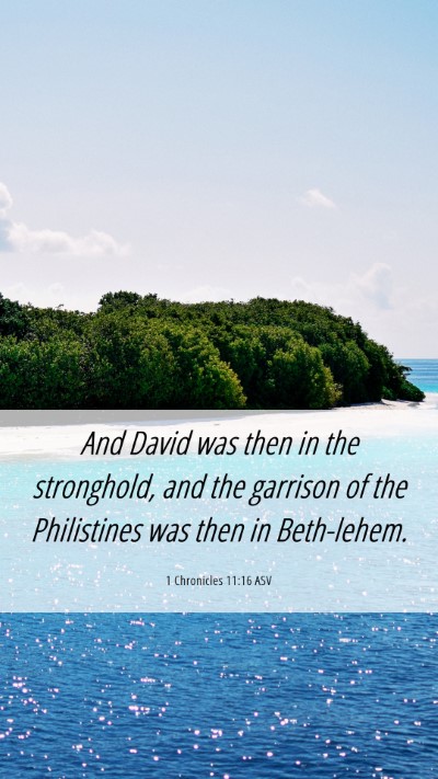Picture 06 - 1 Chronicles 11:16 ASV Mobile Phone Wallpaper - And David was then in the stronghold, and the - Mobile Bible Verse Wallpaper