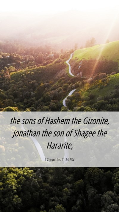 Picture 06 - 1 Chronicles 11:34 ASV Mobile Phone Wallpaper - the sons of Hashem the Gizonite, Jonathan the son - Mobile Bible Verse Wallpaper
