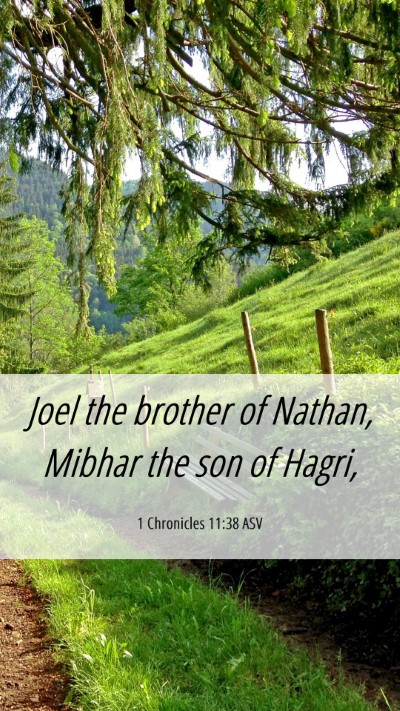 Picture 06 - 1 Chronicles 11:38 ASV Mobile Phone Wallpaper - Joel the brother of Nathan, Mibhar the son of - Mobile Bible Verse Wallpaper
