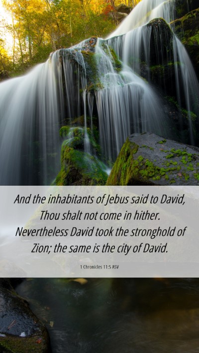 Picture 06 - 1 Chronicles 11:5 ASV Mobile Phone Wallpaper - And the inhabitants of Jebus said to David, Thou - Mobile Bible Verse Wallpaper
