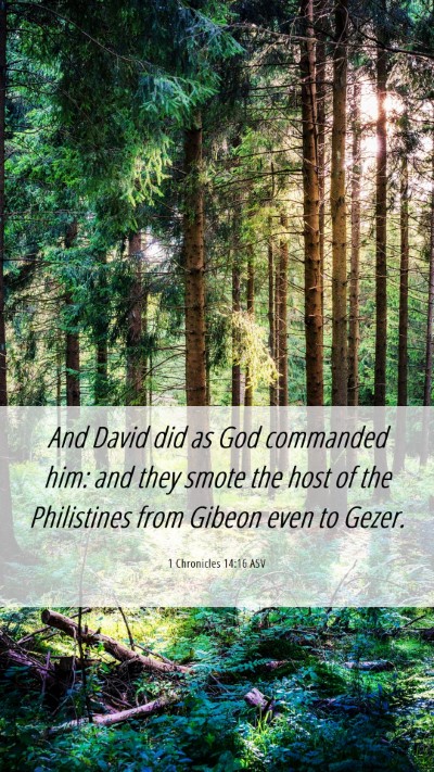 Picture 06 - 1 Chronicles 14:16 ASV Mobile Phone Wallpaper - And David did as God commanded him: and they - Mobile Bible Verse Wallpaper