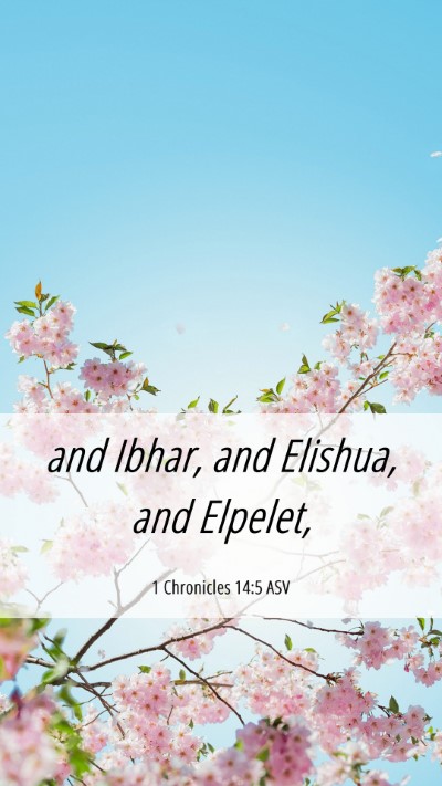 Picture 06 - 1 Chronicles 14:5 ASV Mobile Phone Wallpaper - and Ibhar, and Elishua, and - Mobile Bible Verse Wallpaper