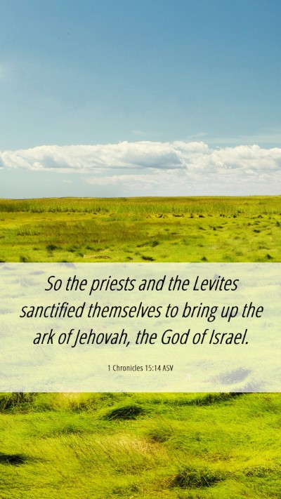 Picture 06 - 1 Chronicles 15:14 ASV Mobile Phone Wallpaper - So the priests and the Levites sanctified - Mobile Bible Verse Wallpaper