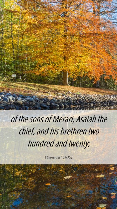 Picture 06 - 1 Chronicles 15:6 ASV Mobile Phone Wallpaper - of the sons of Merari, Asaiah the chief, and his - Mobile Bible Verse Wallpaper
