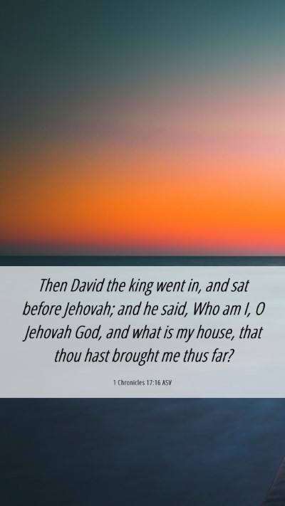 Picture 06 - 1 Chronicles 17:16 ASV Mobile Phone Wallpaper - Then David the king went in, and sat before - Mobile Bible Verse Wallpaper