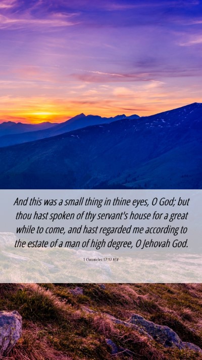 Picture 06 - 1 Chronicles 17:17 ASV Mobile Phone Wallpaper - And this was a small thing in thine eyes, O God; - Mobile Bible Verse Wallpaper