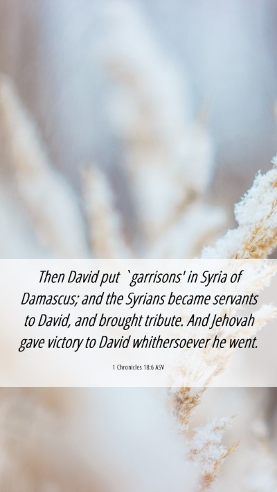 Picture 06 - 1 Chronicles 18:6 ASV Mobile Phone Wallpaper - Then David put `garrisons' in Syria of Damascus; - Mobile Bible Verse Wallpaper