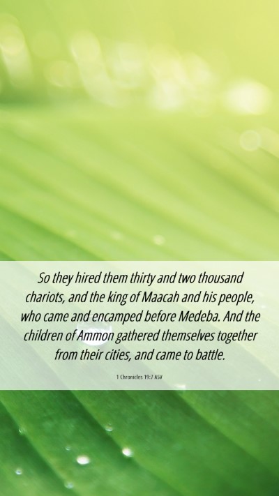 Picture 06 - 1 Chronicles 19:7 ASV Mobile Phone Wallpaper - So they hired them thirty and two thousand - Mobile Bible Verse Wallpaper