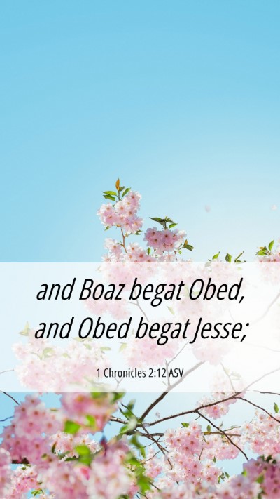 Picture 06 - 1 Chronicles 2:12 ASV Mobile Phone Wallpaper - and Boaz begat Obed, and Obed begat - Mobile Bible Verse Wallpaper