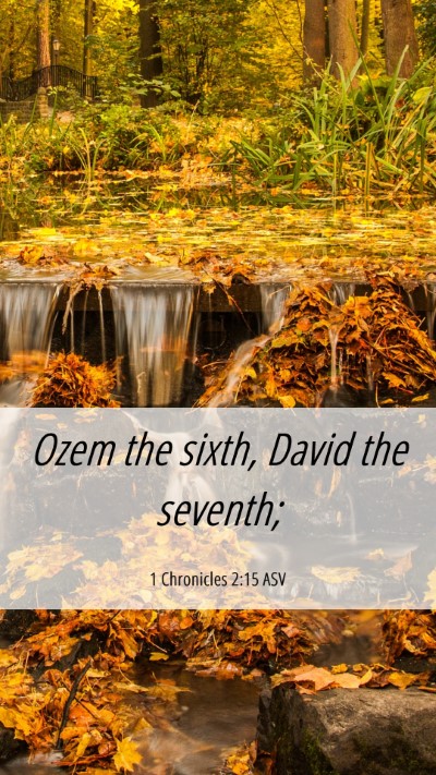 Picture 06 - 1 Chronicles 2:15 ASV Mobile Phone Wallpaper - Ozem the sixth, David the - Mobile Bible Verse Wallpaper