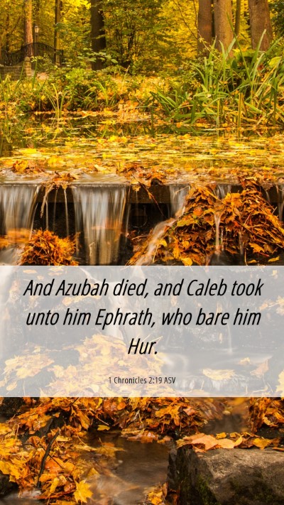 Picture 06 - 1 Chronicles 2:19 ASV Mobile Phone Wallpaper - And Azubah died, and Caleb took unto him Ephrath, - Mobile Bible Verse Wallpaper