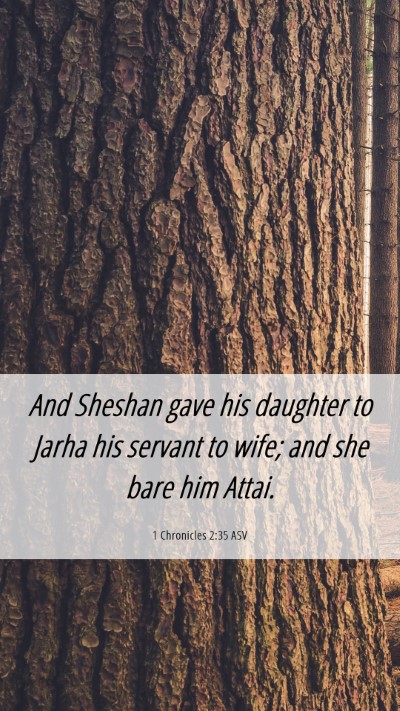 Picture 06 - 1 Chronicles 2:35 ASV Mobile Phone Wallpaper - And Sheshan gave his daughter to Jarha his - Mobile Bible Verse Wallpaper