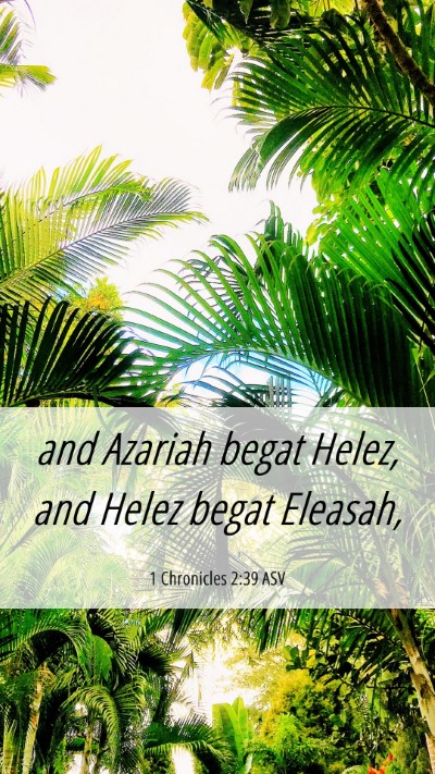 Picture 06 - 1 Chronicles 2:39 ASV Mobile Phone Wallpaper - and Azariah begat Helez, and Helez begat - Mobile Bible Verse Wallpaper