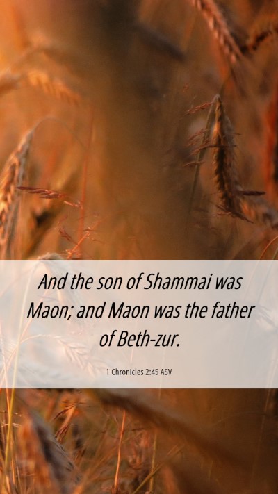 Picture 06 - 1 Chronicles 2:45 ASV Mobile Phone Wallpaper - And the son of Shammai was Maon; and Maon was the - Mobile Bible Verse Wallpaper