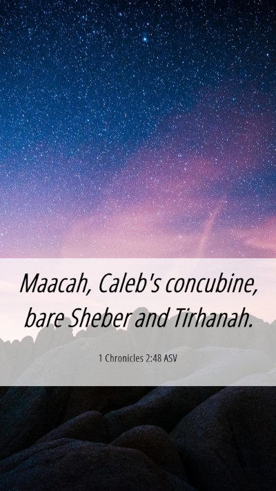 Picture 06 - 1 Chronicles 2:48 ASV Mobile Phone Wallpaper - Maacah, Caleb's concubine, bare Sheber and - Mobile Bible Verse Wallpaper