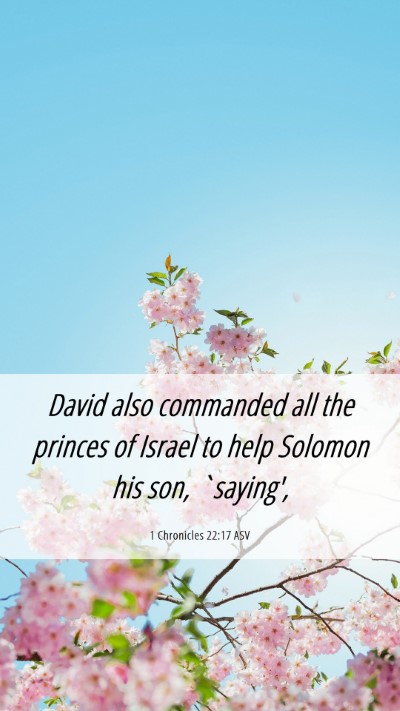 Picture 06 - 1 Chronicles 22:17 ASV Mobile Phone Wallpaper - David also commanded all the princes of Israel to - Mobile Bible Verse Wallpaper