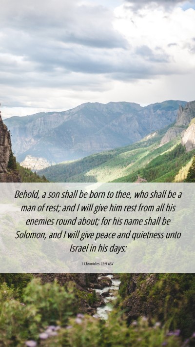 Picture 06 - 1 Chronicles 22:9 ASV Mobile Phone Wallpaper - Behold, a son shall be born to thee, who shall be - Mobile Bible Verse Wallpaper