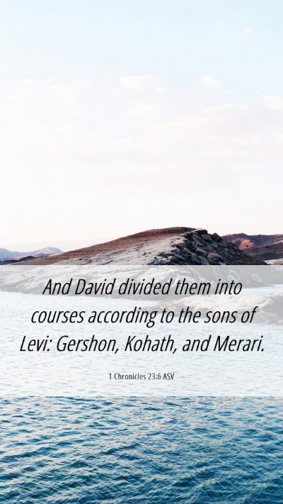 Picture 06 - 1 Chronicles 23:6 ASV Mobile Phone Wallpaper - And David divided them into courses according to - Mobile Bible Verse Wallpaper