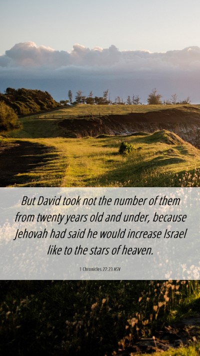 Picture 06 - 1 Chronicles 27:23 ASV Mobile Phone Wallpaper - But David took not the number of them from twenty - Mobile Bible Verse Wallpaper