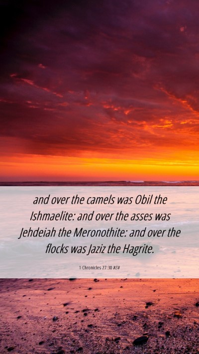 Picture 06 - 1 Chronicles 27:30 ASV Mobile Phone Wallpaper - and over the camels was Obil the Ishmaelite: and - Mobile Bible Verse Wallpaper
