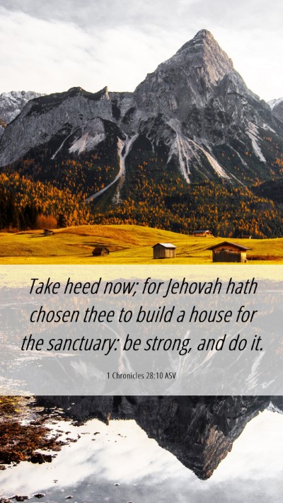 Picture 06 - 1 Chronicles 28:10 ASV Mobile Phone Wallpaper - Take heed now; for Jehovah hath chosen thee to - Mobile Bible Verse Wallpaper