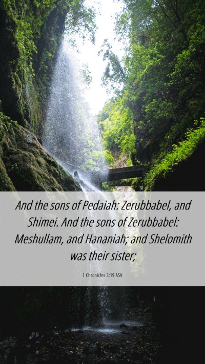 Picture 06 - 1 Chronicles 3:19 ASV Mobile Phone Wallpaper - And the sons of Pedaiah: Zerubbabel, and Shimei. - Mobile Bible Verse Wallpaper