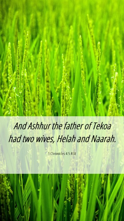 Picture 06 - 1 Chronicles 4:5 ASV Mobile Phone Wallpaper - And Ashhur the father of Tekoa had two wives, - Mobile Bible Verse Wallpaper