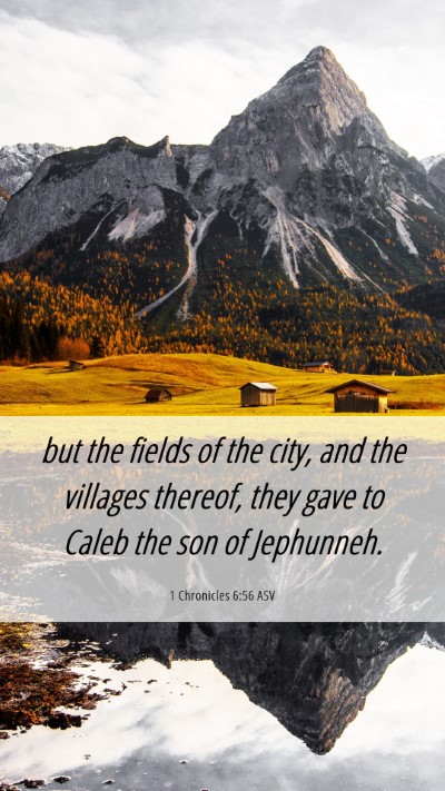 Picture 06 - 1 Chronicles 6:56 ASV Mobile Phone Wallpaper - but the fields of the city, and the villages - Mobile Bible Verse Wallpaper