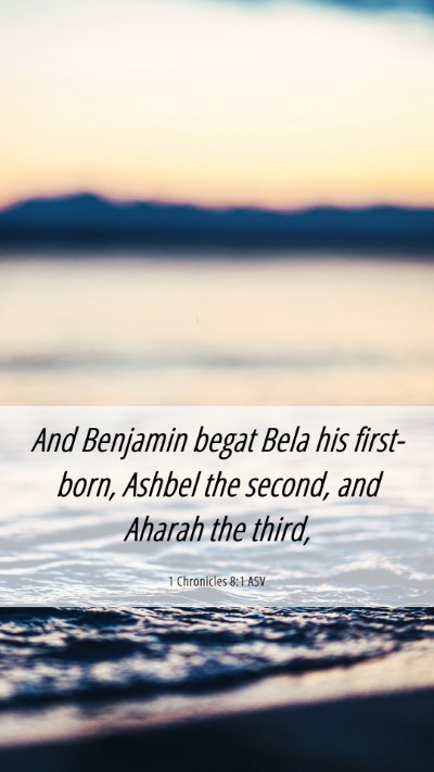 Picture 06 - 1 Chronicles 8:1 ASV Mobile Phone Wallpaper - And Benjamin begat Bela his first-born, Ashbel - Mobile Bible Verse Wallpaper
