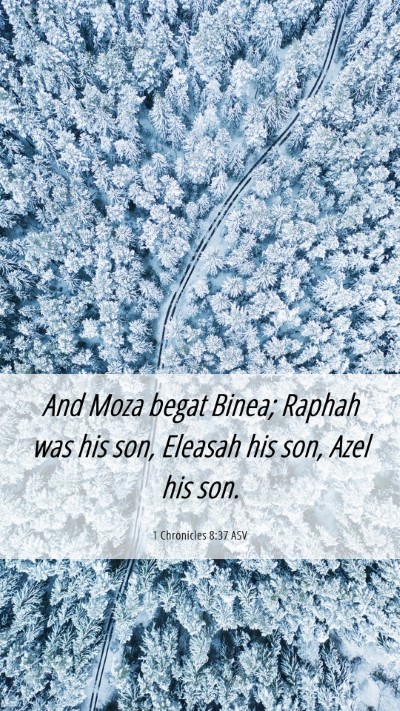 Picture 06 - 1 Chronicles 8:37 ASV Mobile Phone Wallpaper - And Moza begat Binea; Raphah was his son, Eleasah - Mobile Bible Verse Wallpaper
