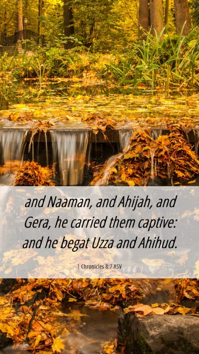 Picture 06 - 1 Chronicles 8:7 ASV Mobile Phone Wallpaper - and Naaman, and Ahijah, and Gera, he carried them - Mobile Bible Verse Wallpaper