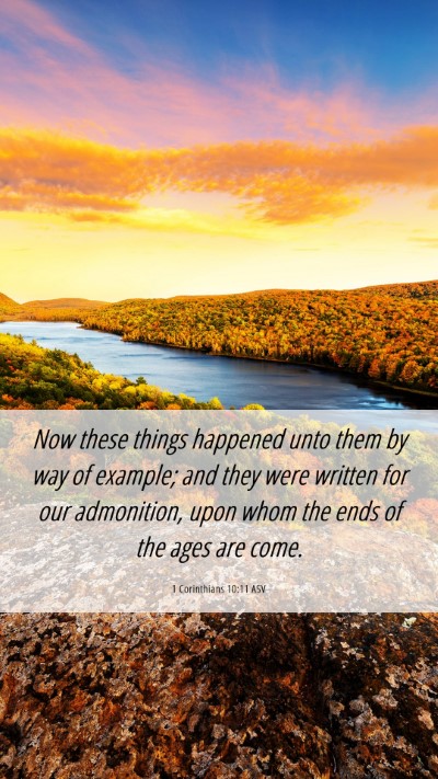 Picture 06 - 1 Corinthians 10:11 ASV Mobile Phone Wallpaper - Now these things happened unto them by way of - Mobile Bible Verse Wallpaper