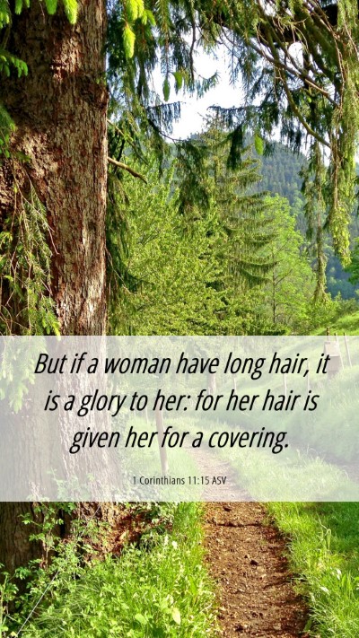 Picture 06 - 1 Corinthians 11:15 ASV Mobile Phone Wallpaper - But if a woman have long hair, it is a glory to - Mobile Bible Verse Wallpaper